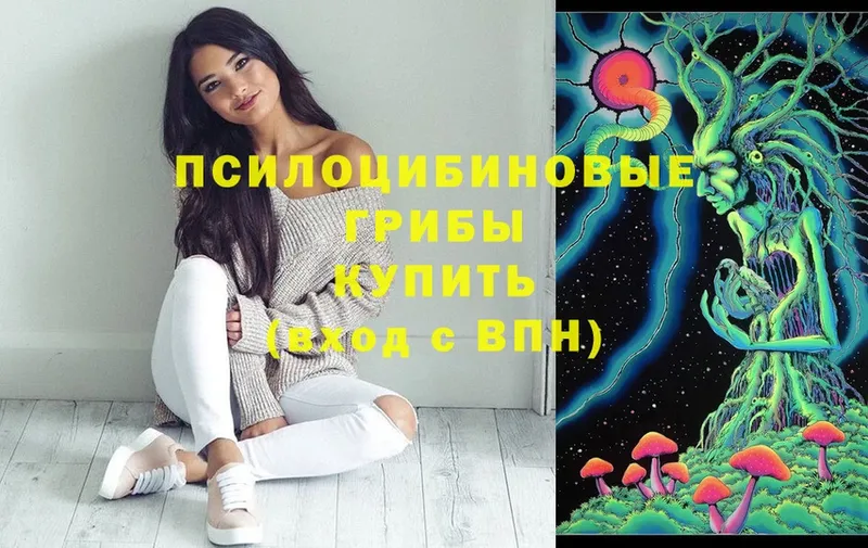 купить  сайты  Фролово  Псилоцибиновые грибы Cubensis 